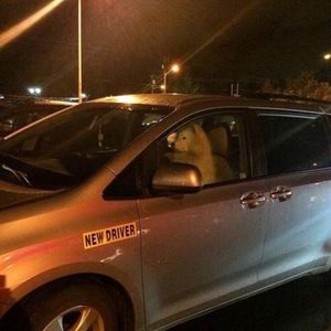 Meet your Posher, Nac